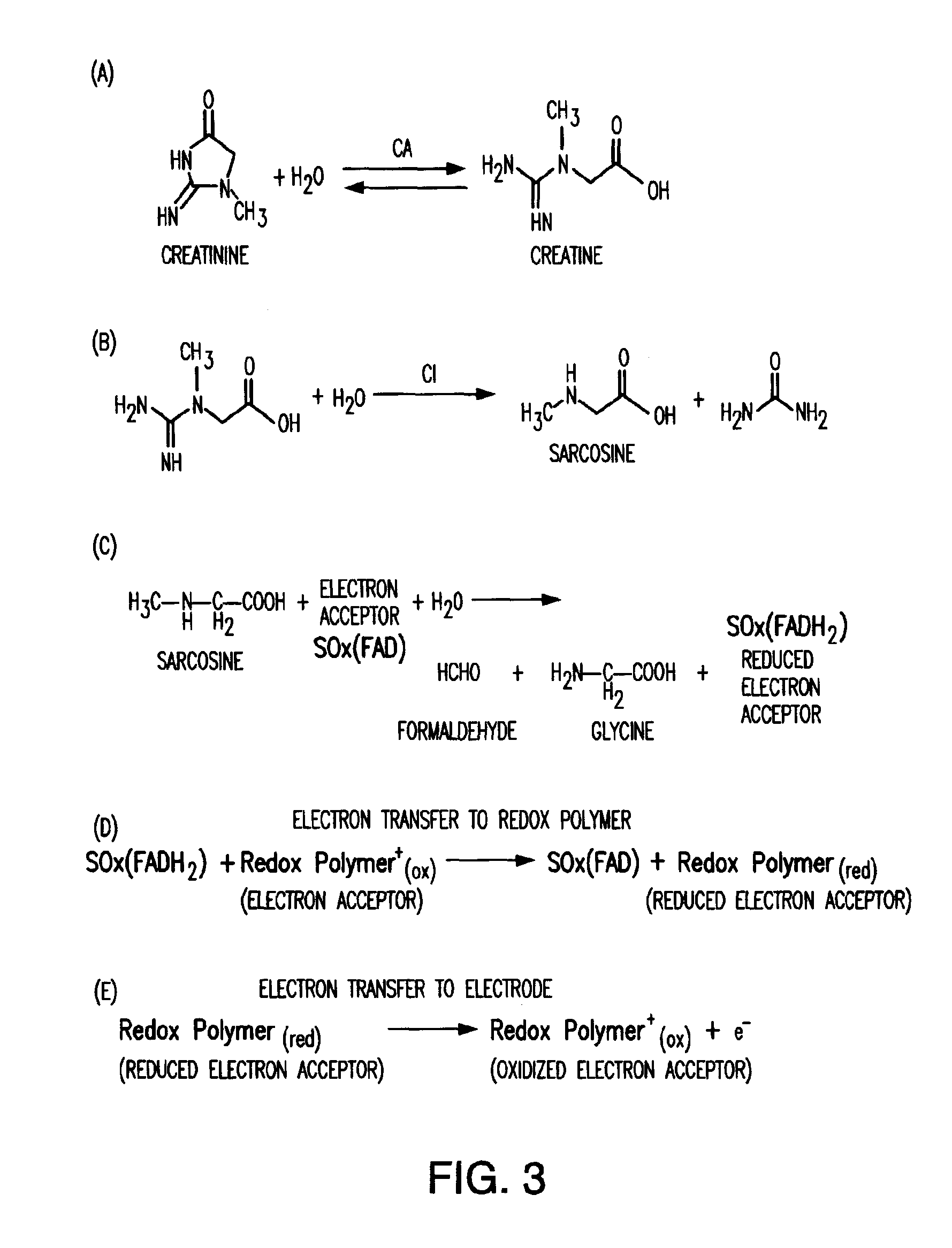 Amperometric Creatinine Biosensor With Immobilized Enzyme-Polymer Composition And Systems Using Same, And Methods