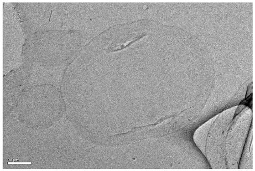 Degradable, environment-friendly and antifouling microcapsules as well as preparation method and application thereof