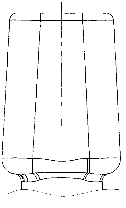 Precise forging molding method for blank of automobile fork-shaped half shaft