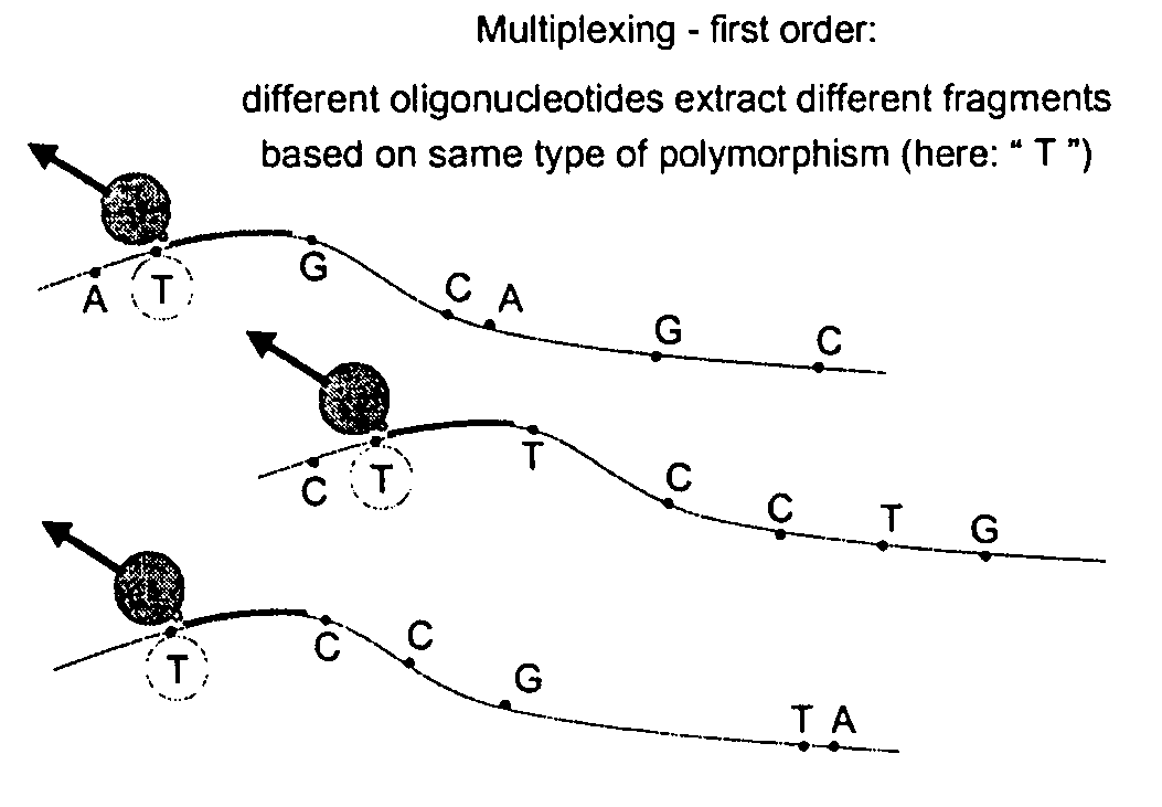 Method for selectively isolating a nucleic acid