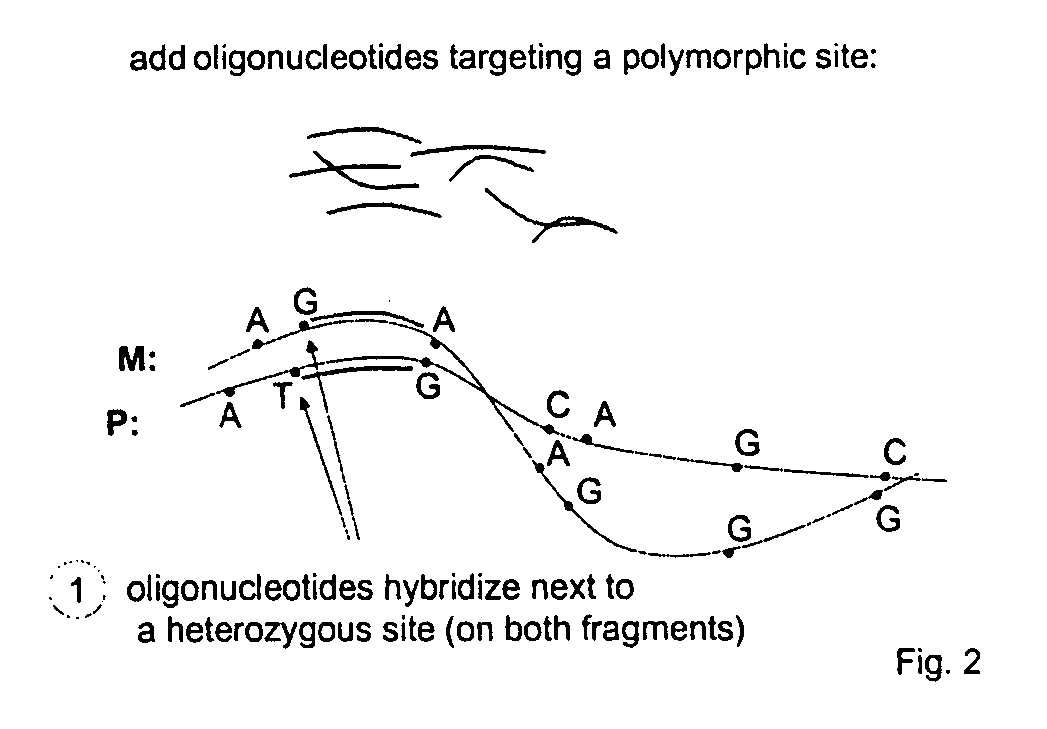 Method for selectively isolating a nucleic acid