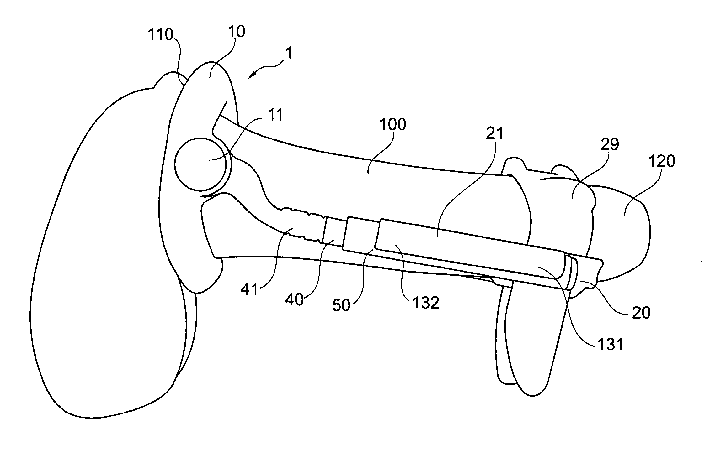 Apparatus for applying traction to a penis