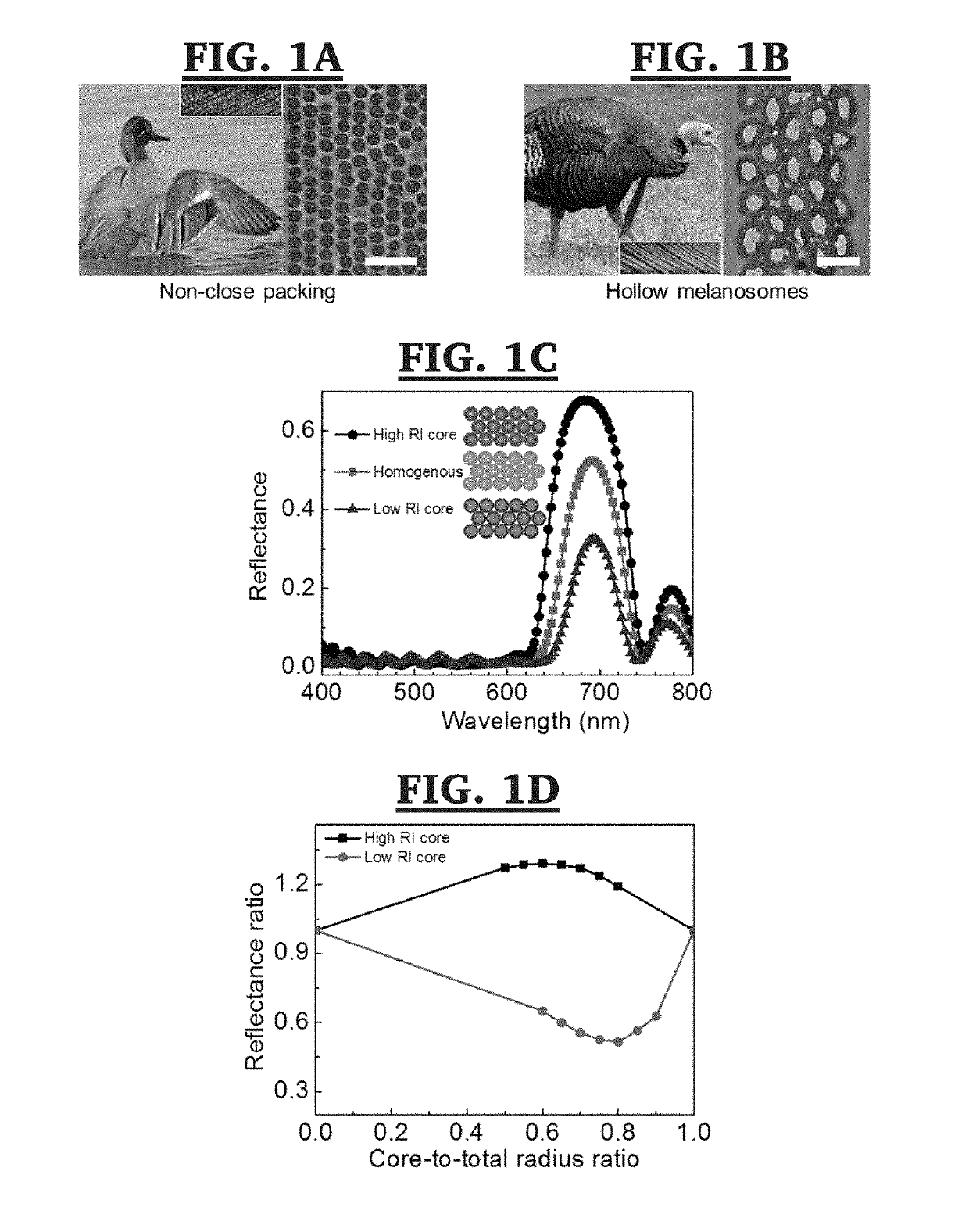 Self-assembled melanin particles for color production