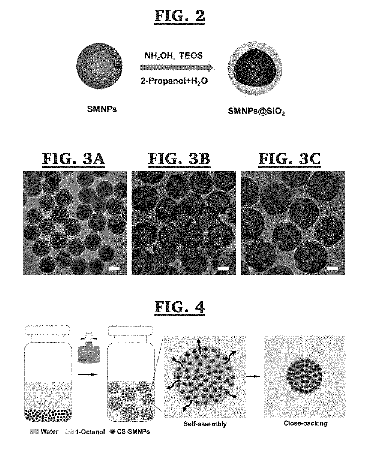 Self-assembled melanin particles for color production