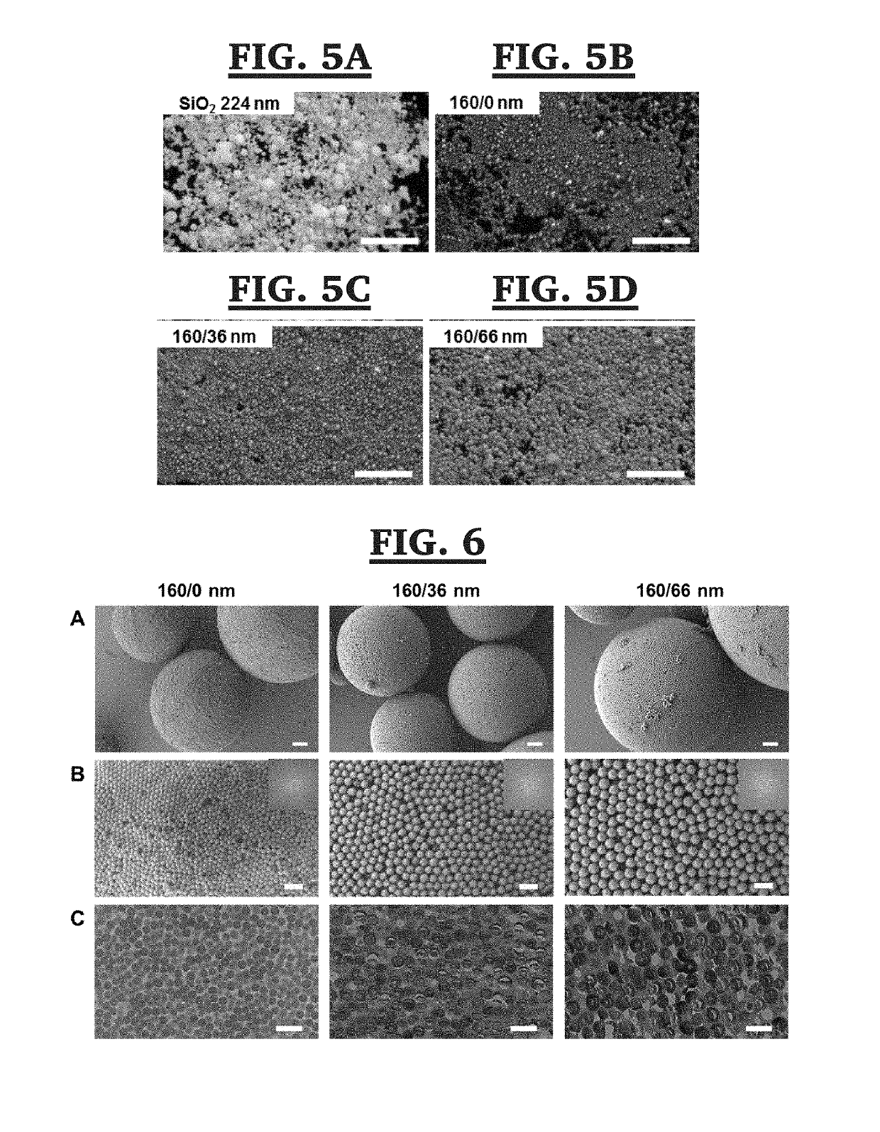 Self-assembled melanin particles for color production