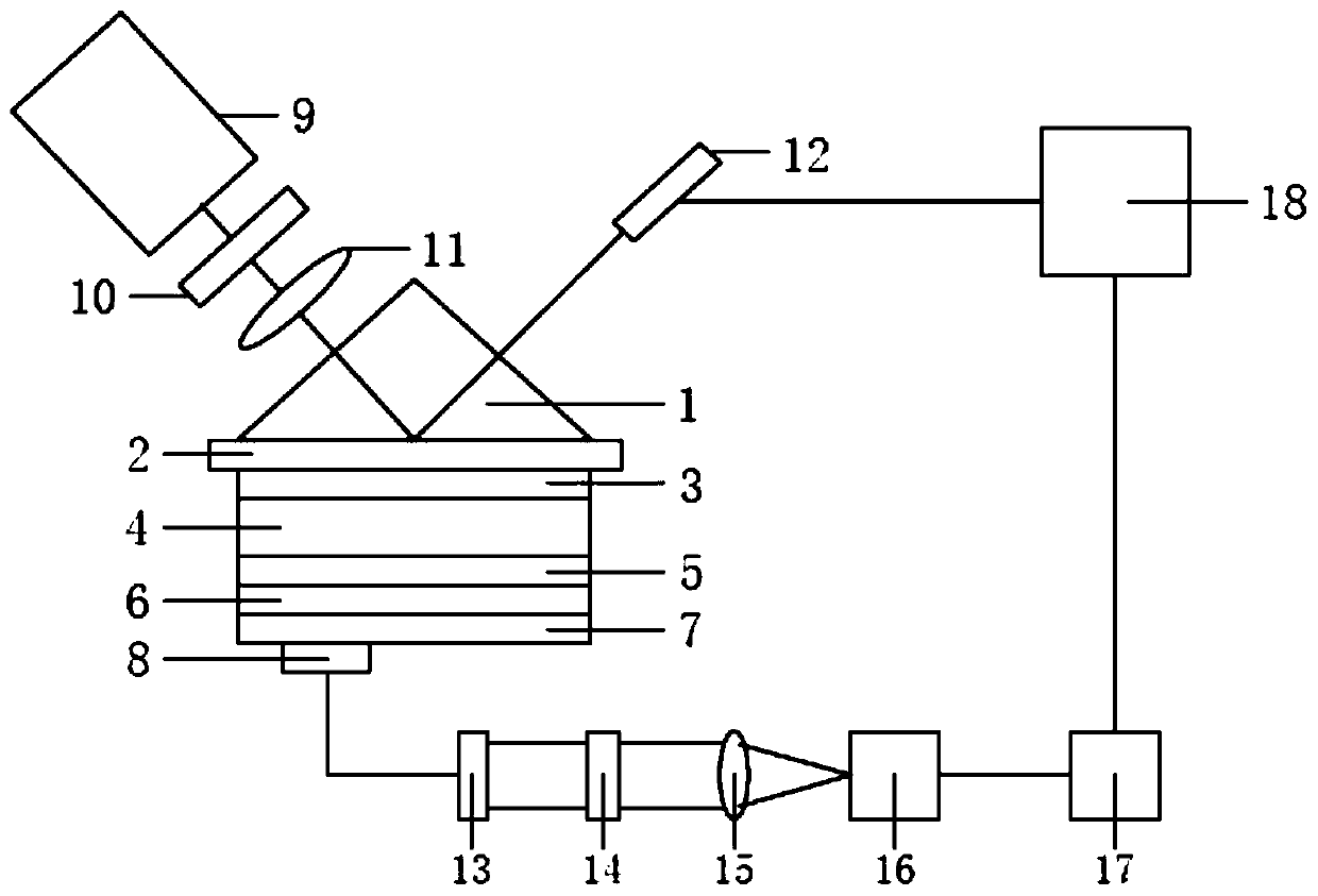 Surface plasma enhanced fluorescence imaging sensor and measuring method thereof