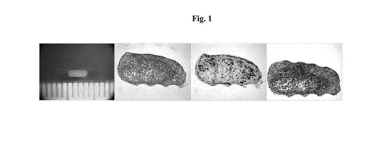 Engineered Tissues for in vitro Research Uses, Arrays Thereof, and Methods of Making the Same