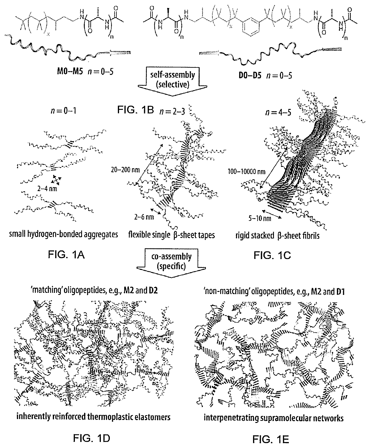 Blends of oligopeptide terminal polyisobutylene or polystyrene