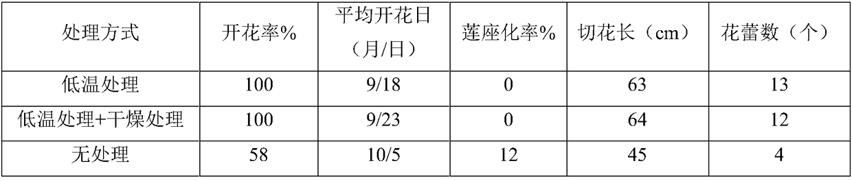 Method for preventing rosette-like growth of eustoma grandiflorum (Raf.)Shinners