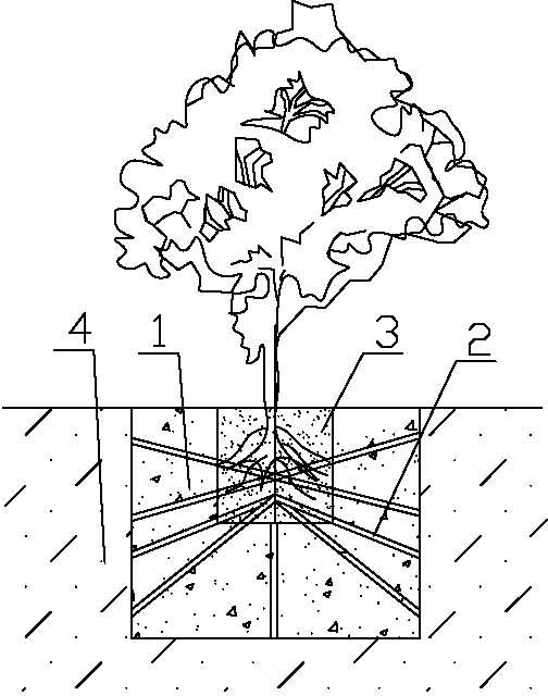 Root-rapid-growth afforestation method by digging