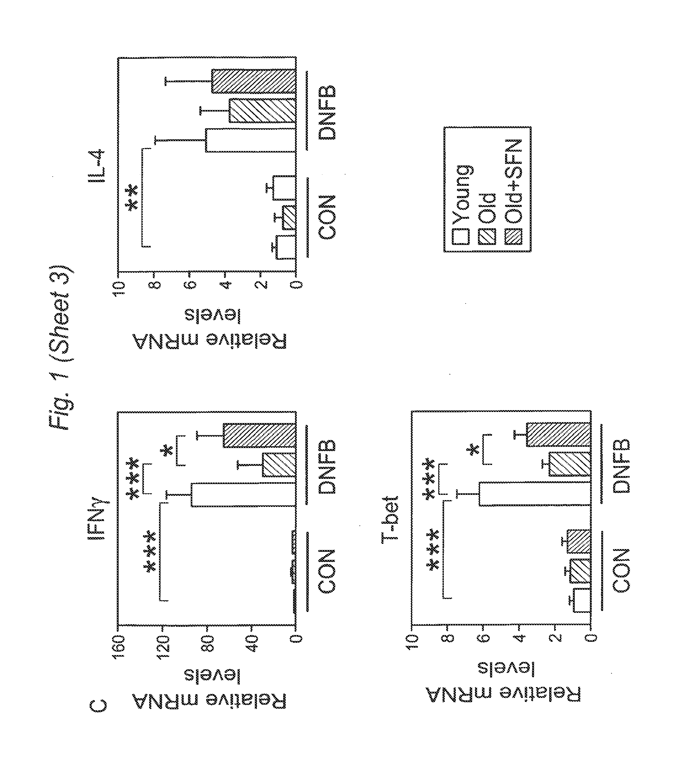 Methods and Compositions for Improving Immune Response by a Nutraceutical Antioxidant