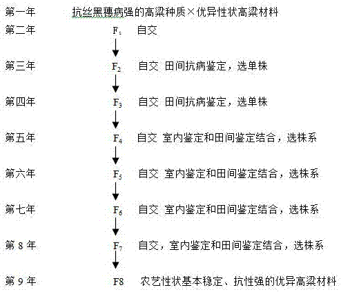 Method for breeding head smut-resisting sorghum