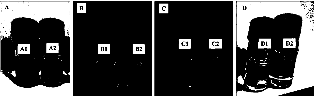 Method for rapidly detecting interference resistance of sucrose externally doped in tea leaves