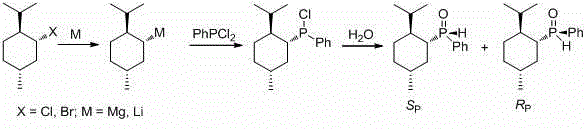 A kind of carbon phosphorus chiral dihydrocarbyl phosphine oxide and its synthesis method