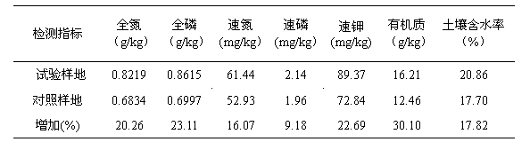 Camellia oleifera forest ecological conservation composite cultivation mode