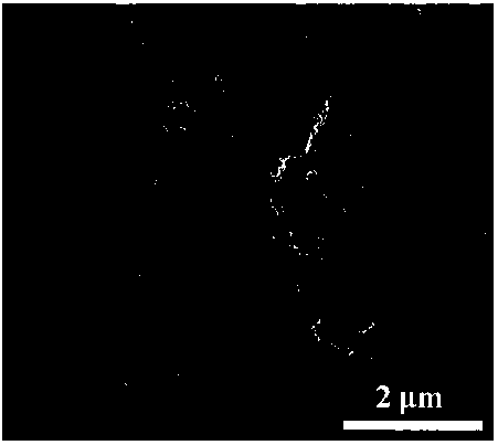 Synthesis method of SnS2/Mn3O4 three-dimensional multilevel structure and obtained product