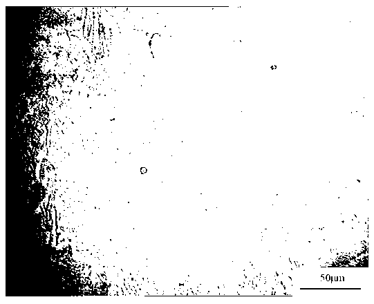 Method for preparing aluminium praseodymium intermediate alloy in high-energy ultrasonic mode