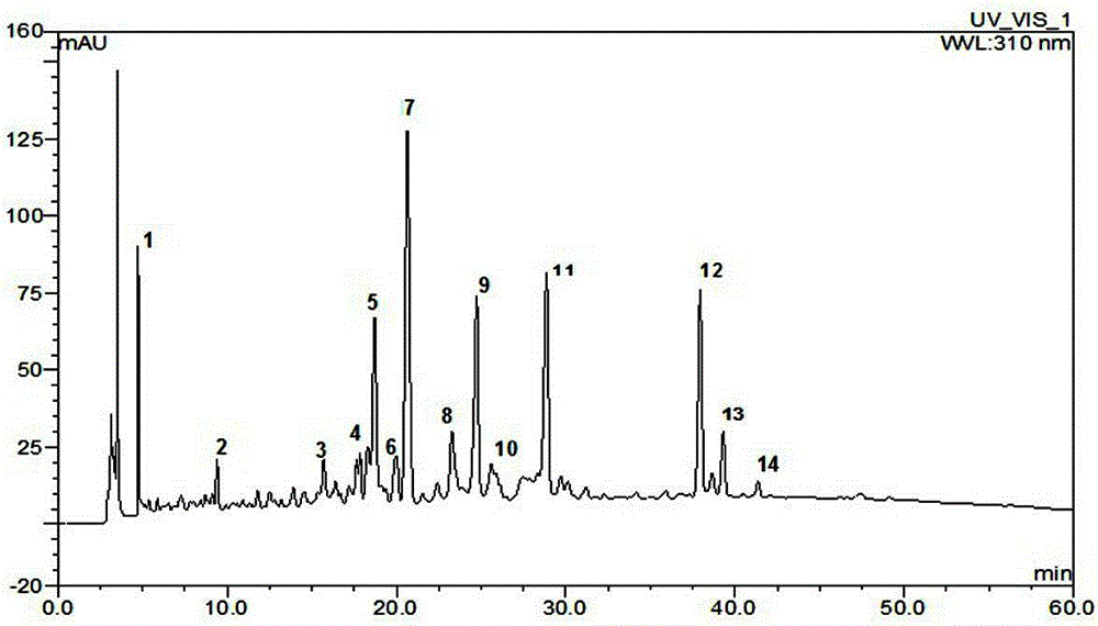 Establishment method and fingerprint of the medicinal material of Lime citrus