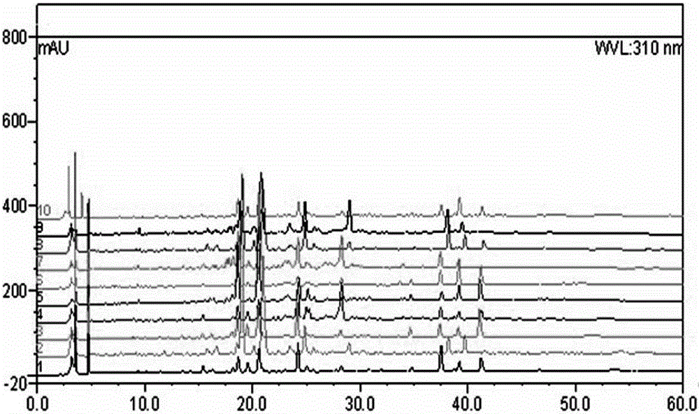 Establishment method and fingerprint of the medicinal material of Lime citrus