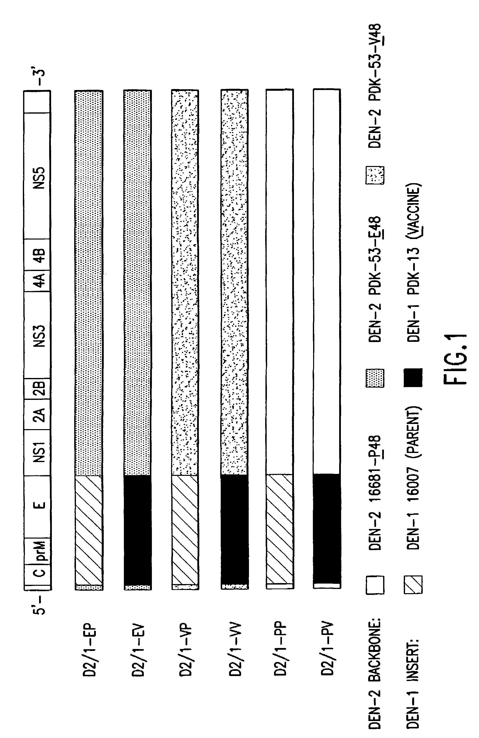 Avirulent, immunogenic flavivirus chimeras