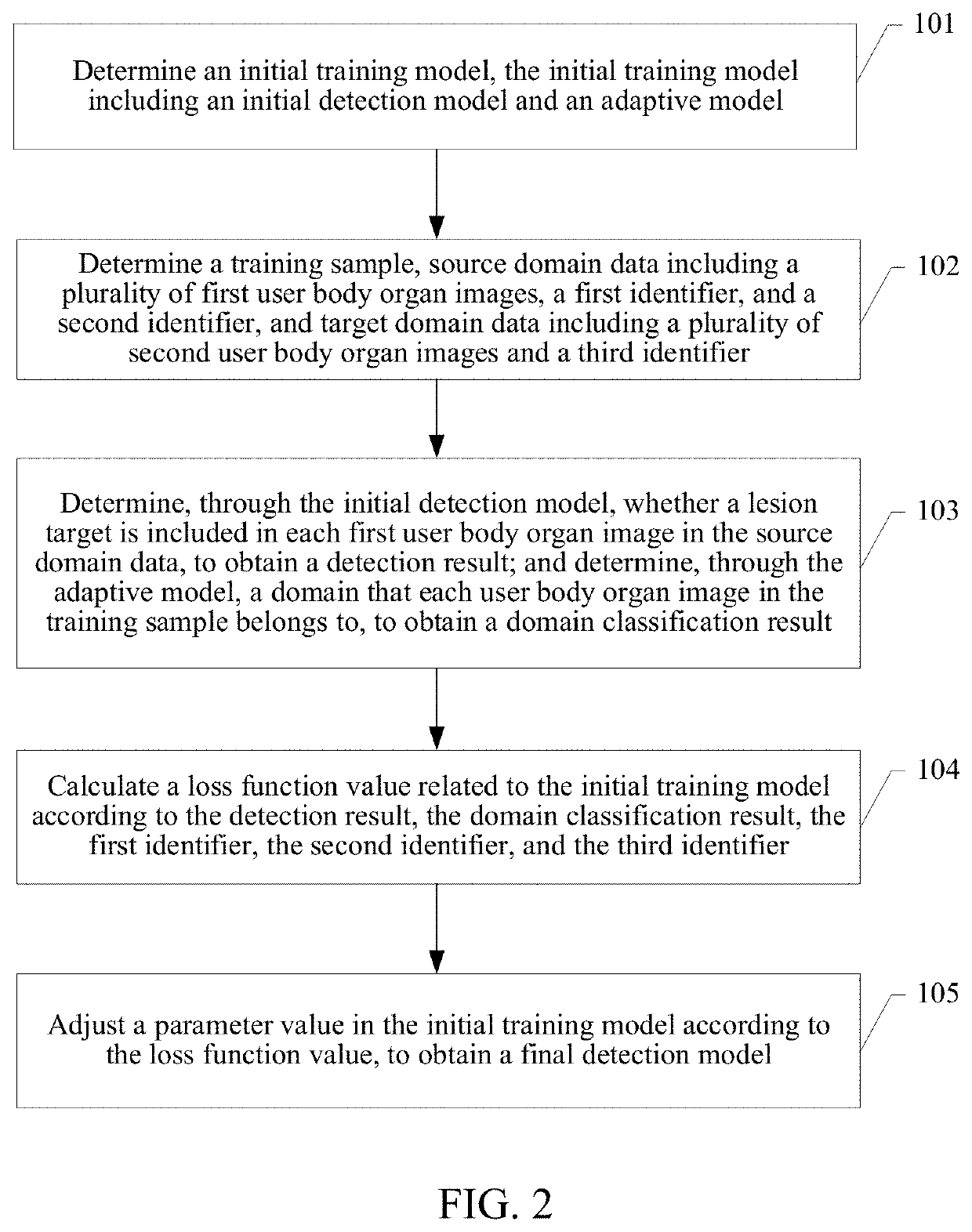 Detection model training method and apparatus, and terminal device