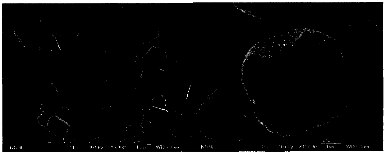 A kind of preparation method of lithium nickel cobalt aluminate and precursor thereof