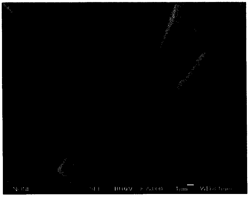 A kind of preparation method of lithium nickel cobalt aluminate and precursor thereof