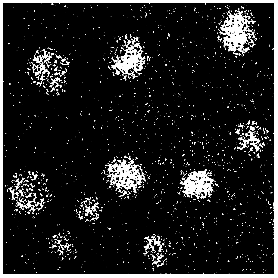 Preparation method for nanoparticles with small particle size and nanoparticle medicine carrier