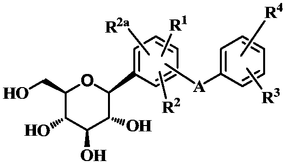 Dicyclic derivative of glucoside as well as preparation method and application of dicyclic derivative