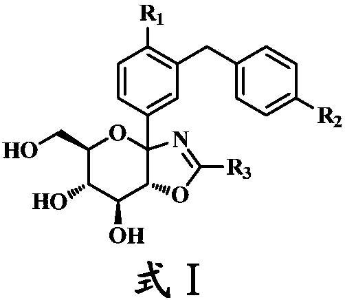 Dicyclic derivative of glucoside as well as preparation method and application of dicyclic derivative