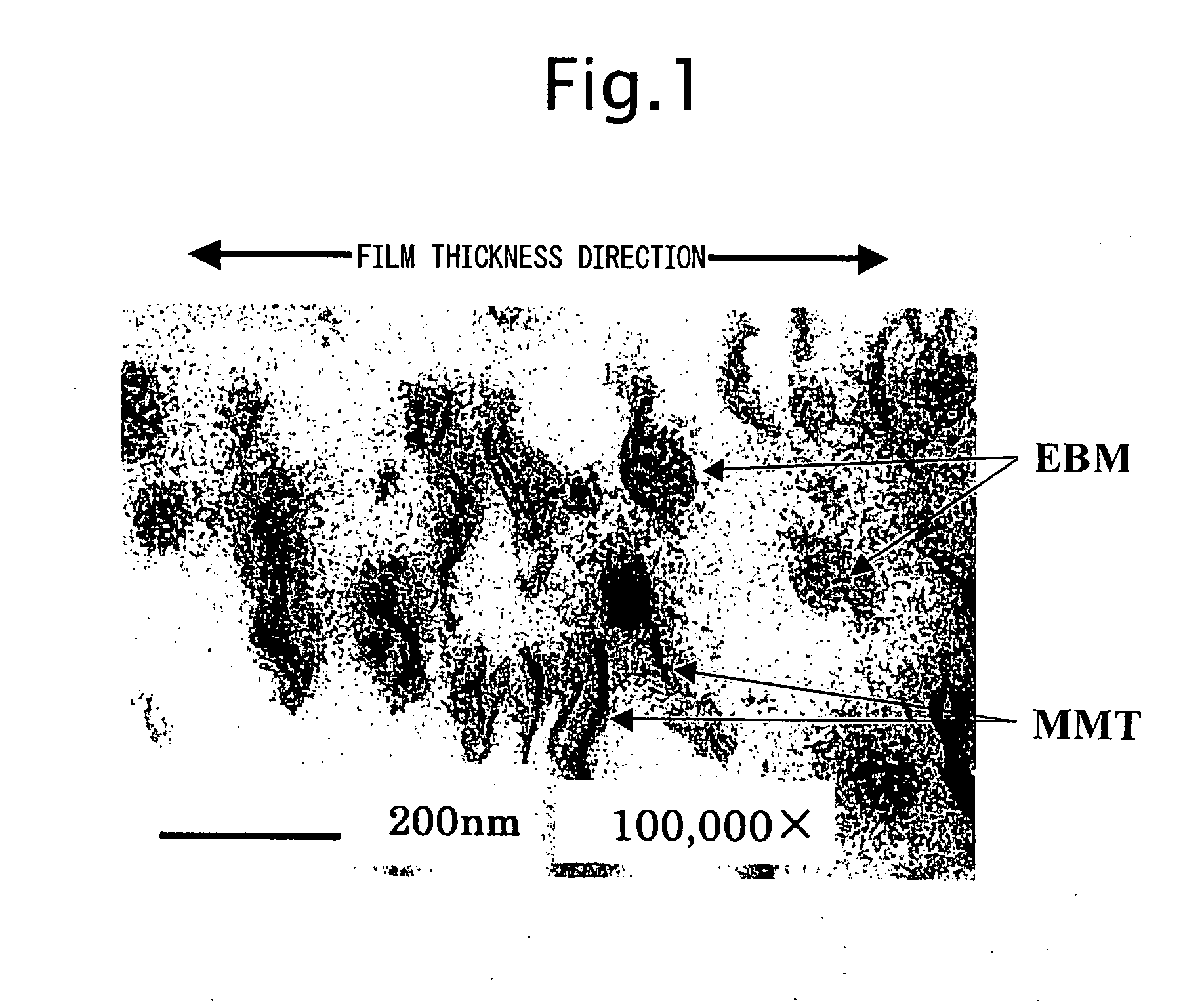 Polyolefin-Based Resin Composition for Metal Coating, and Resin Film and Resin-Coated Metal Material Using the Same