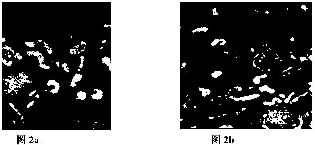 Swine flu H1N1 and H3N2 subtype bivalent inactivated vaccine