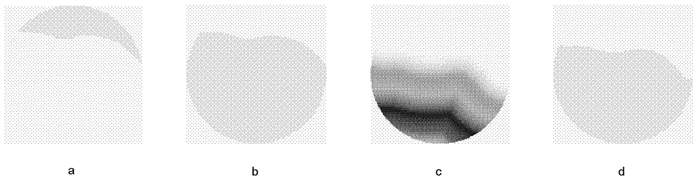 Whole Heart Extraction Method Based on Cardiac CT Image