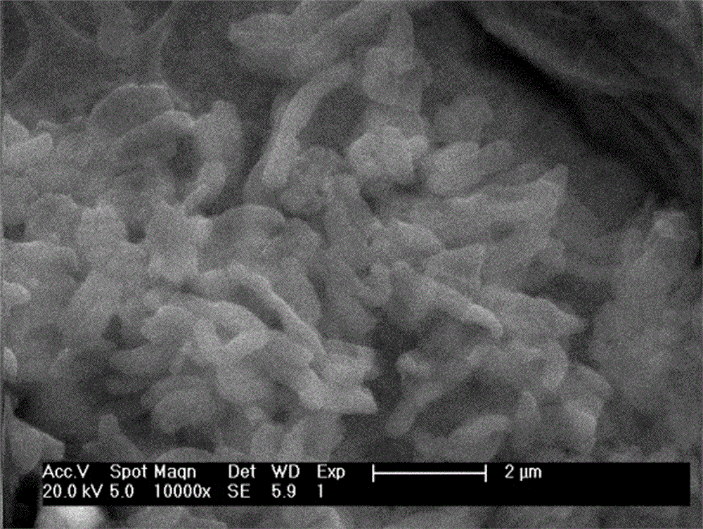 Mesoporous molecular sieve/phosphoramide composite material and preparation method thereof