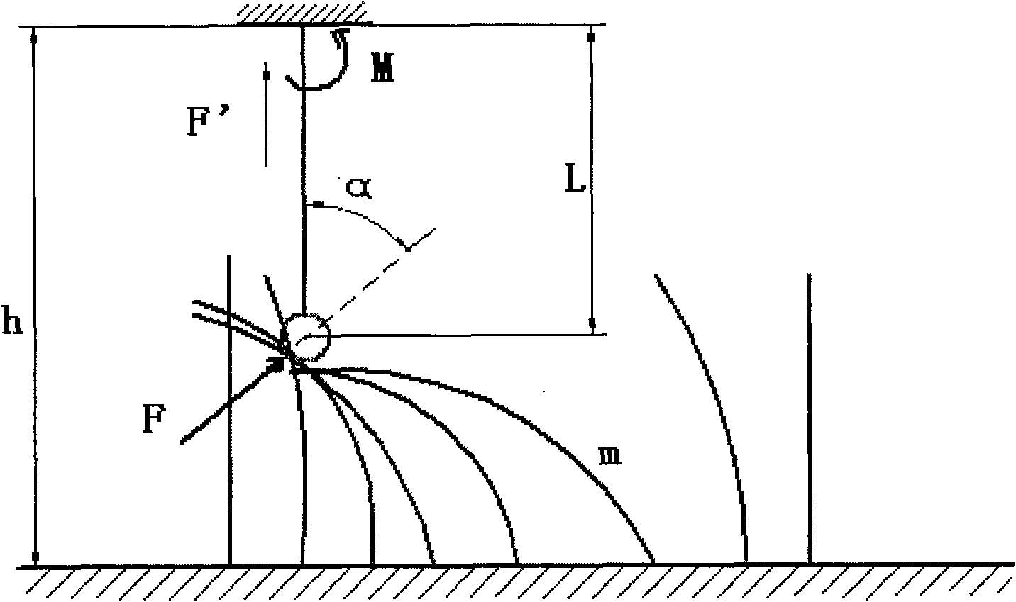 Biomass living body detection device and method based on moment