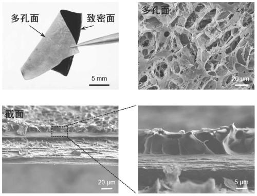 Double-layer nano composite film for guiding bone regeneration and preparation method thereof