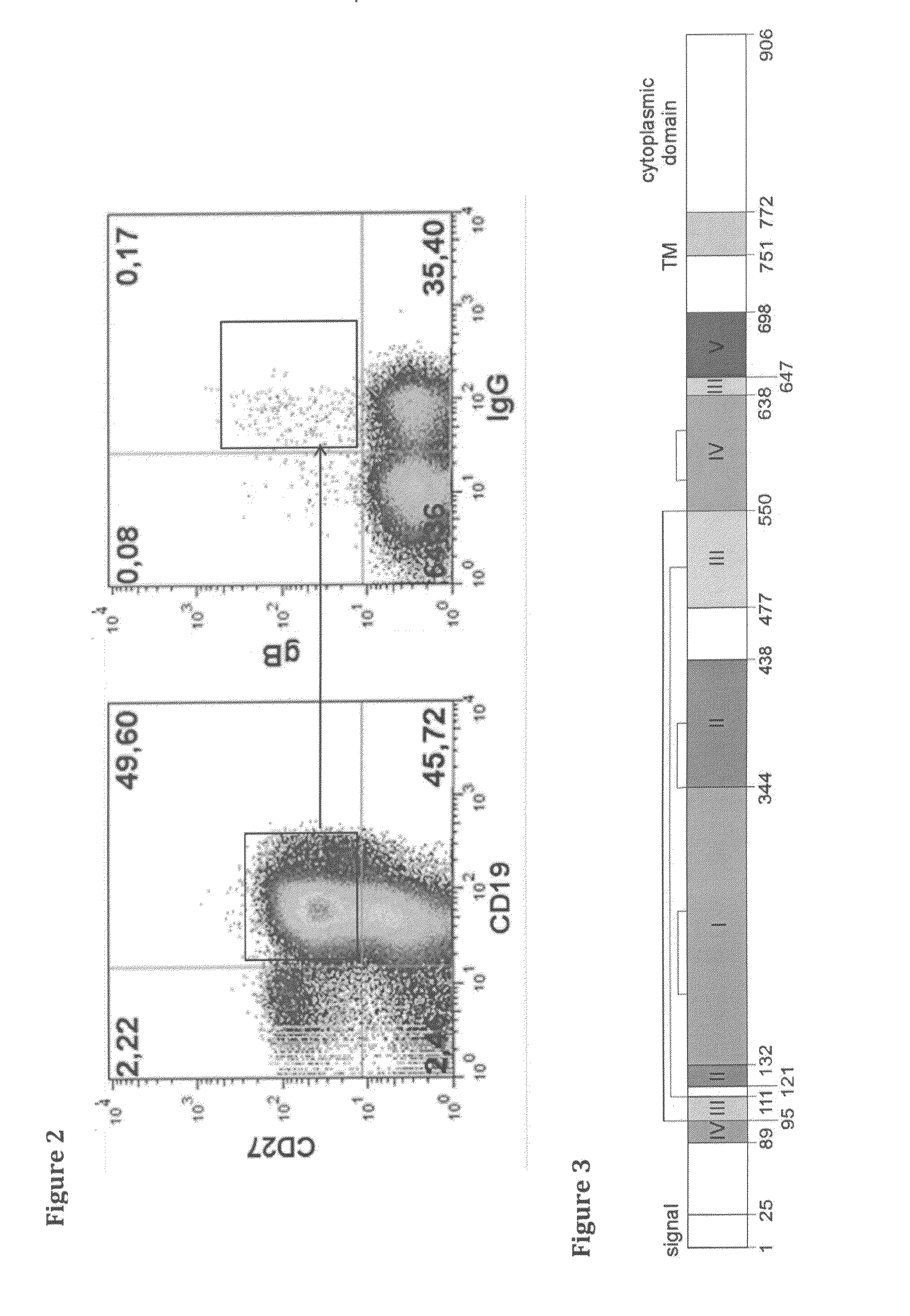 Binding members for human cytomegalovirus