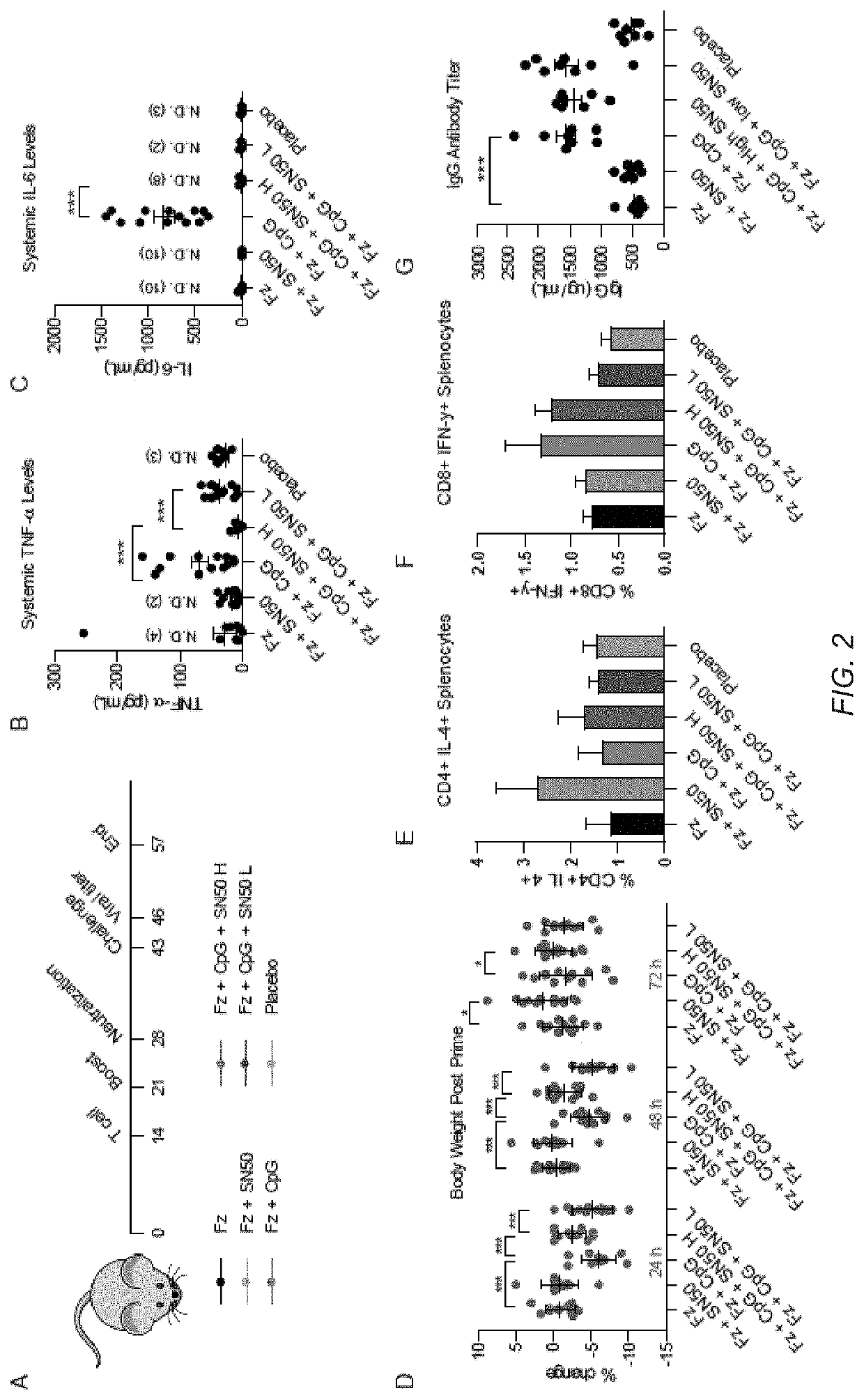 Methods and compositions comprising an nfkb inhibitor and an adjuvant