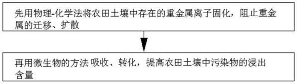 Micro-nano bubble immobilization-microorganism stabilization remediation method for soil pollution