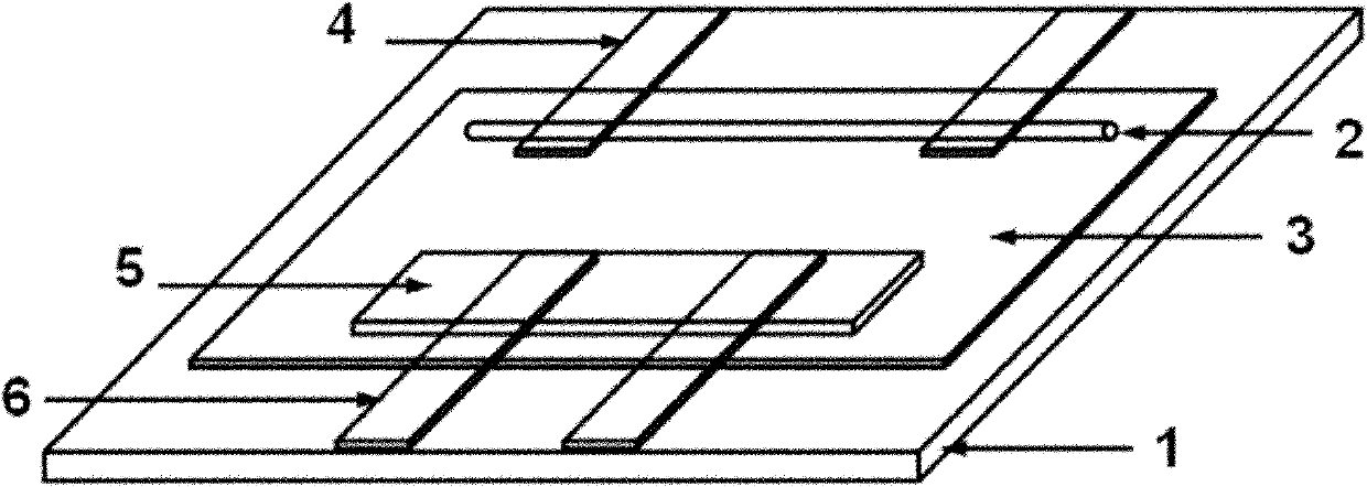 Single nanowire electrochemical device and assembly and in-situ characterization method thereof