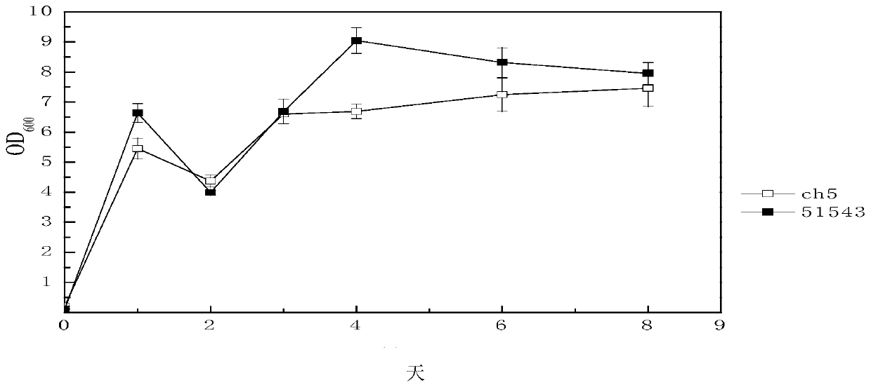 Clostridium beijerinckii for producing butanol from xylose and its application