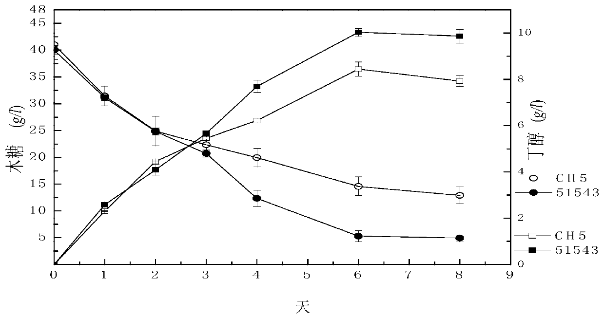 Clostridium beijerinckii for producing butanol from xylose and its application