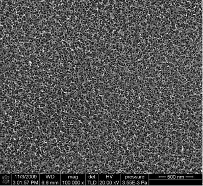 Surface functional titanium material and preparation method thereof