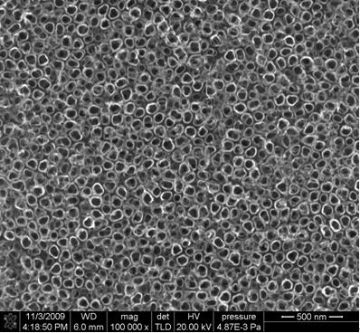 Surface functional titanium material and preparation method thereof