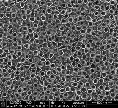 Surface functional titanium material and preparation method thereof