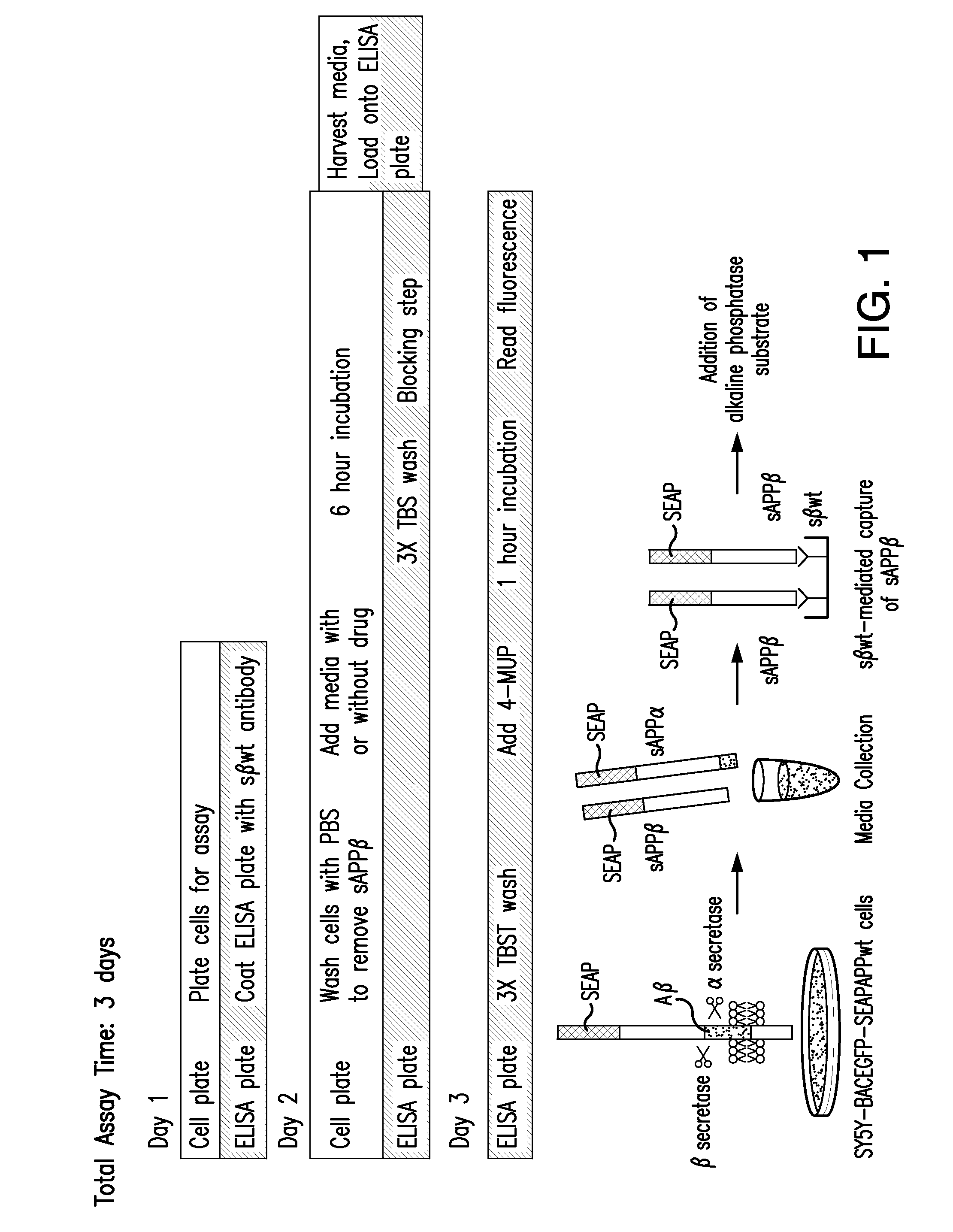 Compounds that Inhibit Production of sAPPB and AB and Uses Thereof