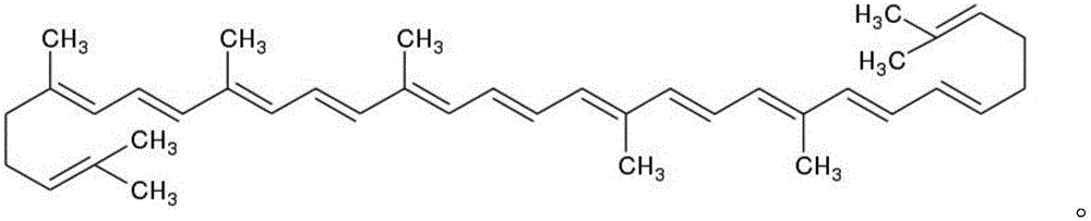 Blakeslea trispora and method for preparing lycopene from blakeslea trispora