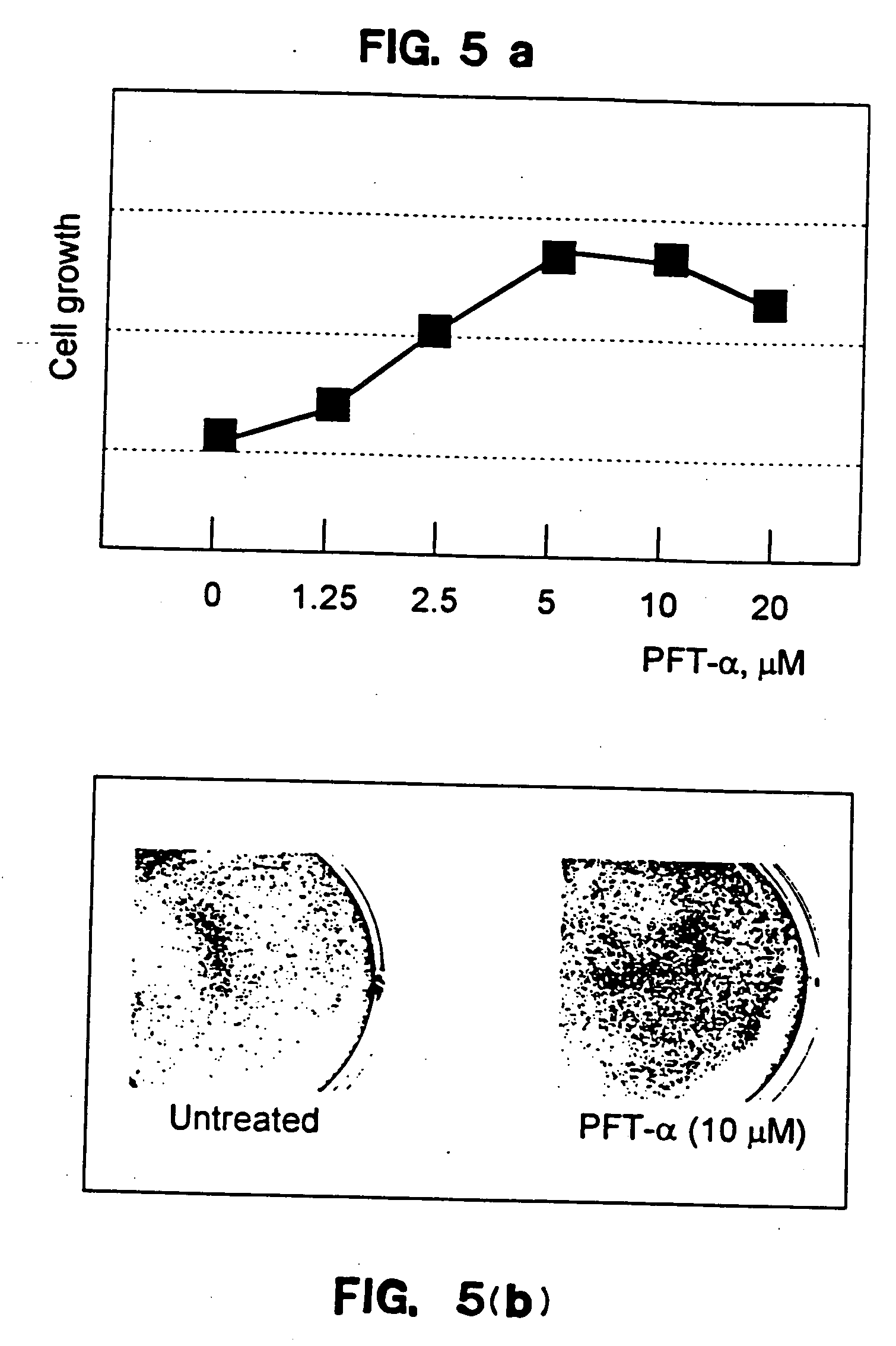 p53 Inhibitors and therapeutic use of the same