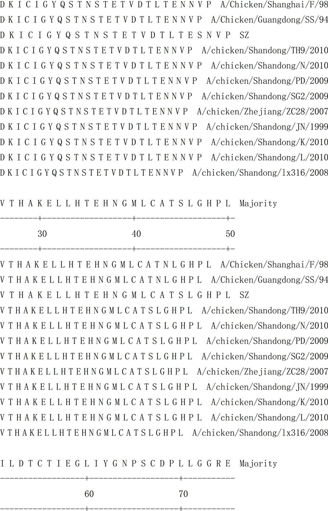 H9 subtype avian influenza virus isolate and vaccine composition prepared therefrom