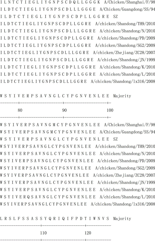 H9 subtype avian influenza virus isolate and vaccine composition prepared therefrom